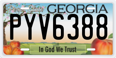 GA license plate PYV6388