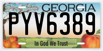 GA license plate PYV6389