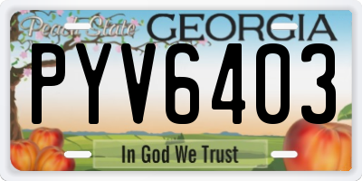 GA license plate PYV6403