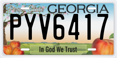 GA license plate PYV6417