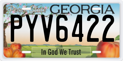 GA license plate PYV6422