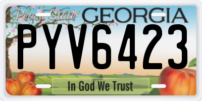 GA license plate PYV6423