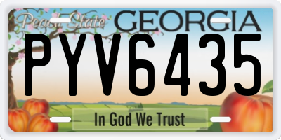GA license plate PYV6435
