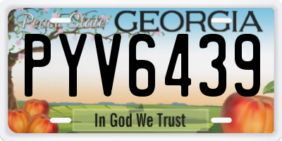GA license plate PYV6439