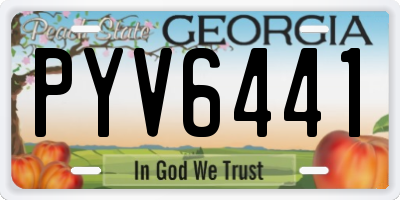 GA license plate PYV6441