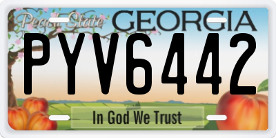 GA license plate PYV6442