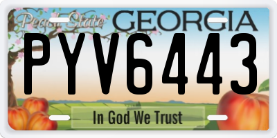GA license plate PYV6443
