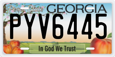 GA license plate PYV6445