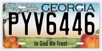 GA license plate PYV6446