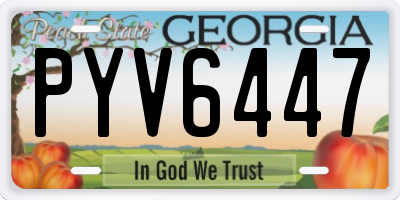 GA license plate PYV6447