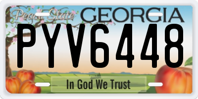 GA license plate PYV6448