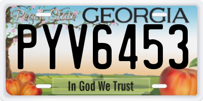 GA license plate PYV6453