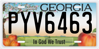 GA license plate PYV6463