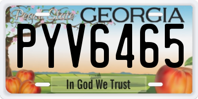 GA license plate PYV6465