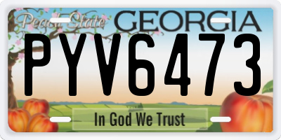 GA license plate PYV6473
