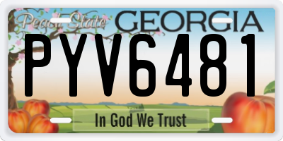 GA license plate PYV6481
