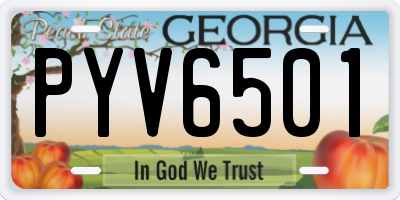 GA license plate PYV6501