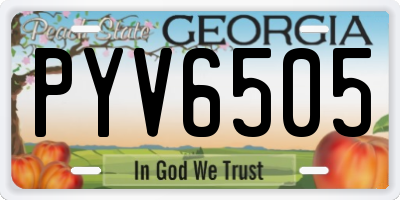 GA license plate PYV6505
