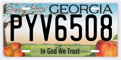 GA license plate PYV6508