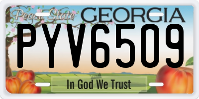 GA license plate PYV6509