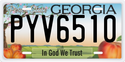 GA license plate PYV6510