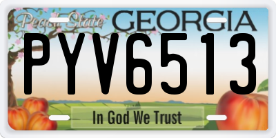 GA license plate PYV6513