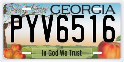 GA license plate PYV6516