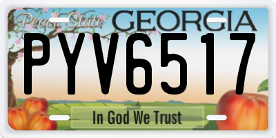 GA license plate PYV6517