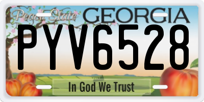 GA license plate PYV6528