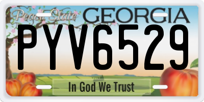 GA license plate PYV6529