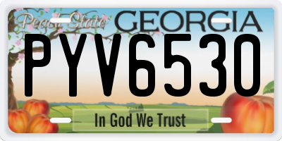 GA license plate PYV6530