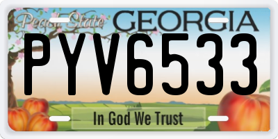 GA license plate PYV6533