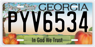 GA license plate PYV6534