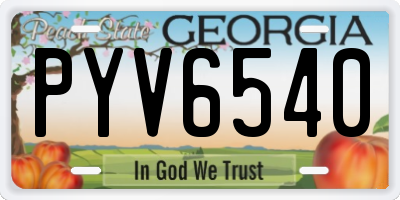 GA license plate PYV6540