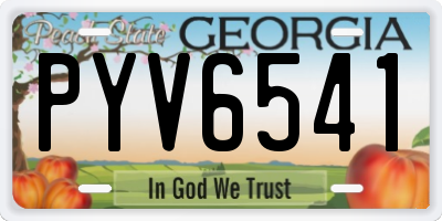 GA license plate PYV6541