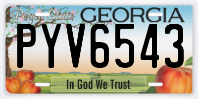 GA license plate PYV6543