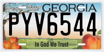 GA license plate PYV6544