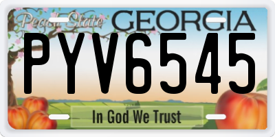 GA license plate PYV6545