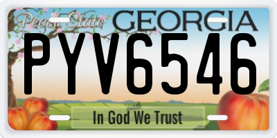 GA license plate PYV6546