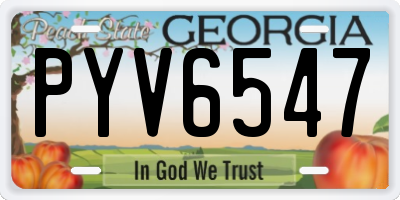 GA license plate PYV6547