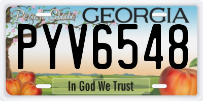 GA license plate PYV6548