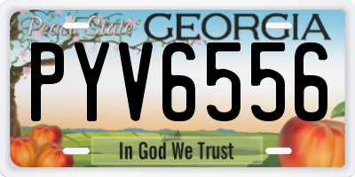 GA license plate PYV6556