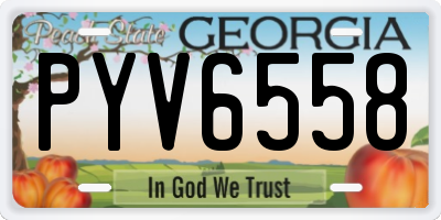 GA license plate PYV6558