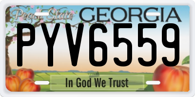 GA license plate PYV6559