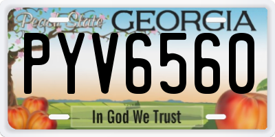 GA license plate PYV6560