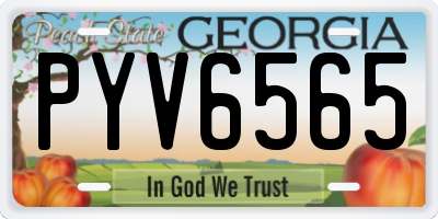 GA license plate PYV6565