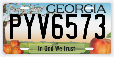 GA license plate PYV6573