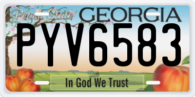 GA license plate PYV6583