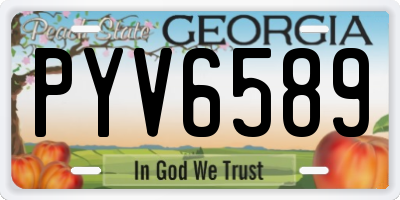 GA license plate PYV6589