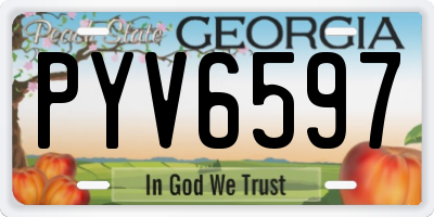 GA license plate PYV6597